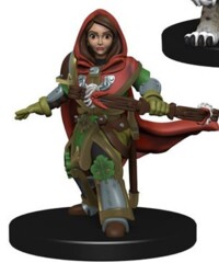 Girl Ranger      Wardling minis